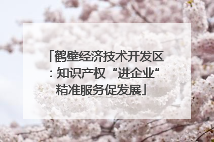鹤壁经济技术开发区：知识产权“进企业” 精准服务促发展