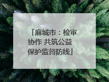 麻城市：检审协作 共筑公益保护监督防线