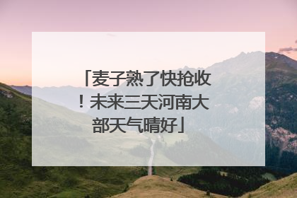 麦子熟了快抢收！未来三天河南大部天气晴好