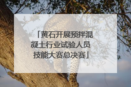 黄石开展预拌混凝土行业试验人员技能大赛总决赛