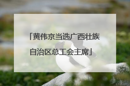 黄伟京当选广西壮族自治区总工会主席