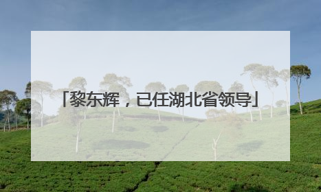 黎东辉，已任湖北省领导