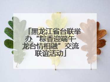 黑龙江省台联举办“粽香迎端午·龙台情相融”交流联谊活动
