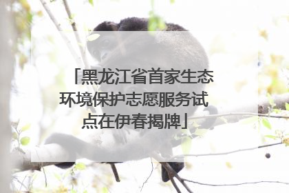 黑龙江省首家生态环境保护志愿服务试点在伊春揭牌