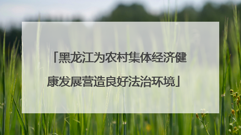黑龙江为农村集体经济健康发展营造良好法治环境