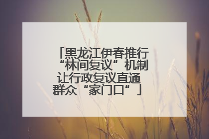 黑龙江伊春推行“林间复议”机制 让行政复议直通群众“家门口”