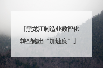 黑龙江制造业数智化转型跑出“加速度”