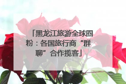 黑龙江旅游全球圈粉：各国旅行商“群聊”合作揽客