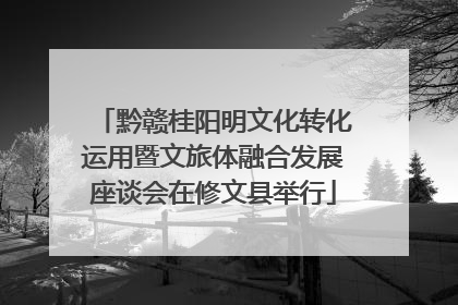 黔赣桂阳明文化转化运用暨文旅体融合发展座谈会在修文县举行