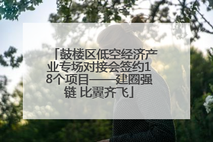 鼓楼区低空经济产业专场对接会签约18个项目——建圈强链 比翼齐飞