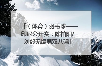 （体育）羽毛球——印尼公开赛：陈柏阳/刘毅无缘男双八强