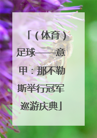 （体育）足球——意甲：那不勒斯举行冠军巡游庆典