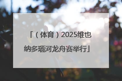 （体育）2025维也纳多瑙河龙舟赛举行