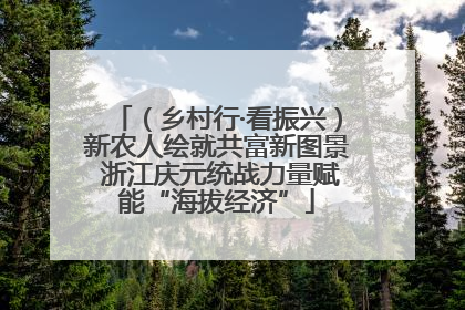 （乡村行·看振兴）新农人绘就共富新图景 浙江庆元统战力量赋能“海拔经济”