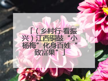 （乡村行·看振兴）江西铜鼓“小杨梅”化身百姓“致富果”