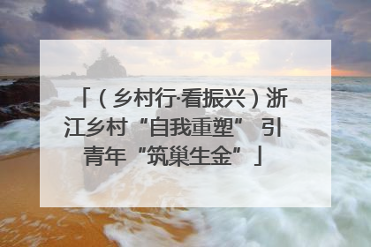 （乡村行·看振兴）浙江乡村“自我重塑” 引青年“筑巢生金”