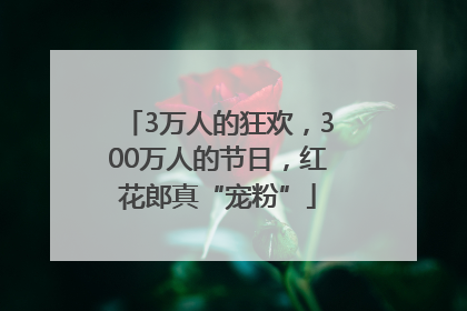 3万人的狂欢,300万人的节日,红花郎真“宠粉”