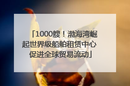 1000艘！渤海湾崛起世界级船舶租赁中心 促进全球贸易流动