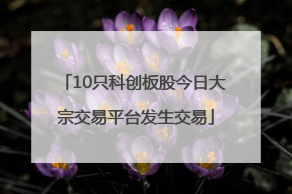 10只科创板股今日大宗交易平台发生交易