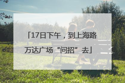 17日下午，到上海路万达广场“问招”去