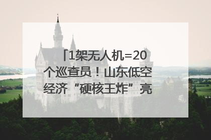 1架无人机=20个巡查员！山东低空经济“硬核王炸”亮相青岛，下一个万亿赛道藏在这里