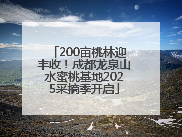 200亩桃林迎丰收！成都龙泉山水蜜桃基地2025采摘季开启
