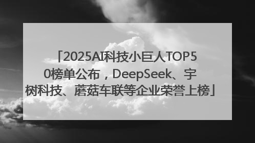 2025AI科技小巨人TOP50榜单公布，DeepSeek、宇树科技、蘑菇车联等企业荣誉上榜