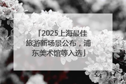 2025上海最佳旅游新场景公布，浦东美术馆等入选