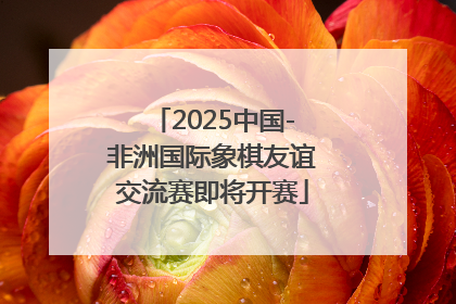 2025中国-非洲国际象棋友谊交流赛即将开赛