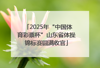 2025年“中国体育彩票杯”山东省体操锦标赛圆满收官