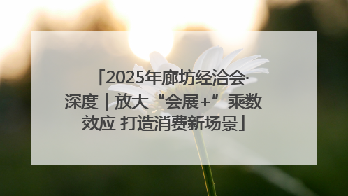 2025年廊坊经洽会·深度｜放大“会展+”乘数效应 打造消费新场景