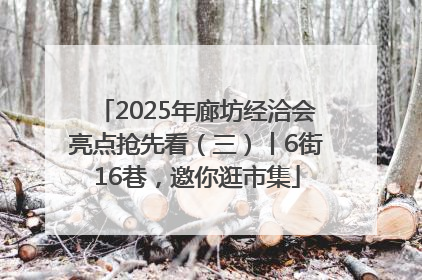 2025年廊坊经洽会亮点抢先看（三）丨6街16巷，邀你逛市集