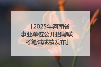 2025年河南省事业单位公开招聘联考笔试成绩发布