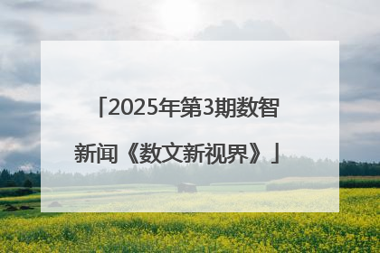 2025年第3期数智新闻《数文新视界》