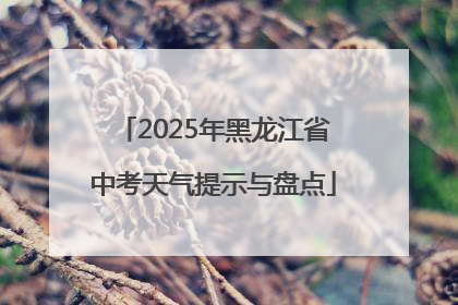 2025年黑龙江省中考天气提示与盘点