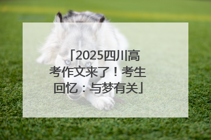 2025四川高考作文来了！考生回忆：与梦有关