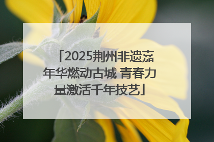 2025荆州非遗嘉年华燃动古城 青春力量激活千年技艺