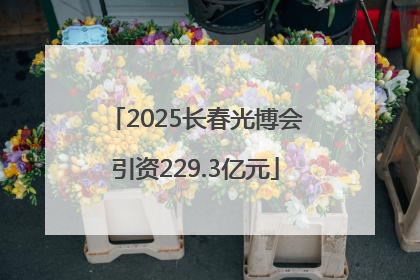 2025长春光博会引资229.3亿元