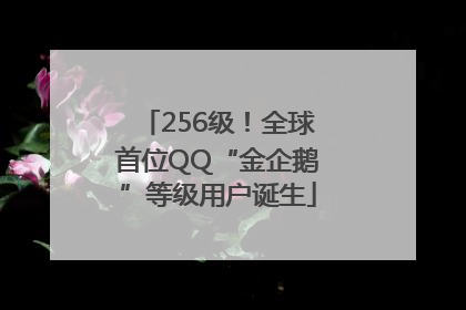 256级！全球首位QQ“金企鹅”等级用户诞生