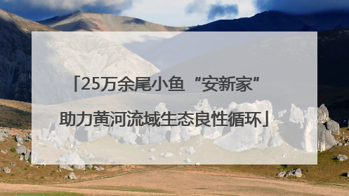 25万余尾小鱼“安新家” 助力黄河流域生态良性循环