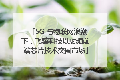 5G 与物联网浪潮下，飞骧科技以射频前端芯片技术突围市场
