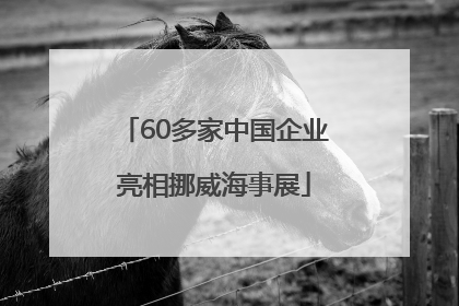 60多家中国企业亮相挪威海事展