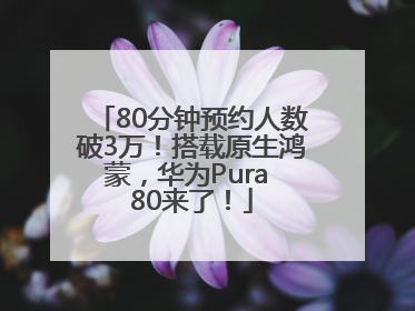 80分钟预约人数破3万！搭载原生鸿蒙，华为Pura 80来了！