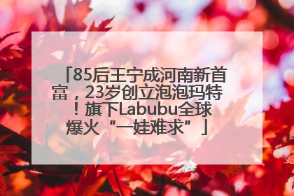 85后王宁成河南新首富，23岁创立泡泡玛特！旗下Labubu全球爆火“一娃难求”