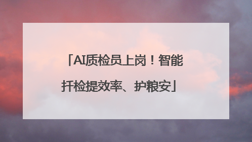 AI质检员上岗！智能扦检提效率、护粮安