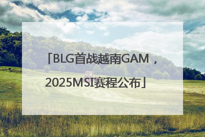 BLG首战越南GAM，2025MSI赛程公布