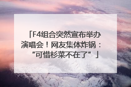 F4组合突然宣布举办演唱会！网友集体炸锅：“可惜杉菜不在了”