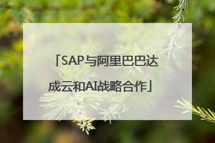 SAP与阿里巴巴达成云和AI战略合作